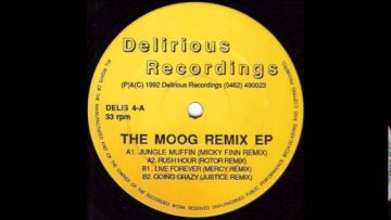 The Moog ‎– The Moog Remix EP – Live Forever