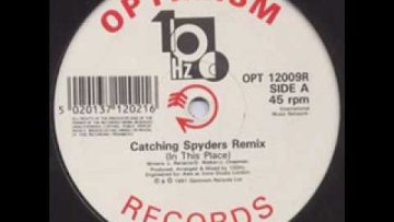 100HZ – Catching Spyders (Remix)