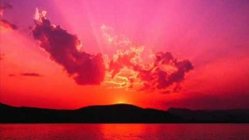FLAG – Wonderful Day
