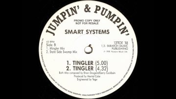 Smart Systems – Tingler
