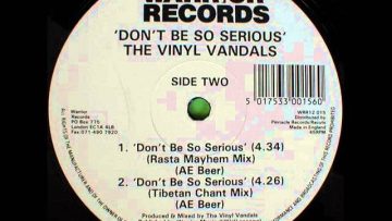 The Vinyl Vandals – Dont Be So Serious (Rasta Mayhem Mix)
